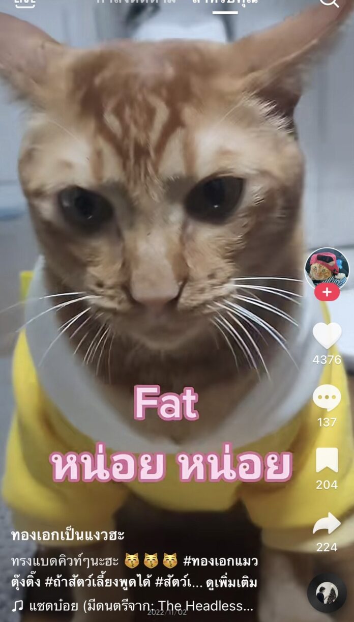 ทรงถังแก๊ซ Fatหน่อยหน่อย!!