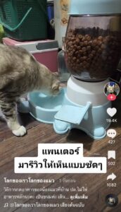 เหมียวรีวิวเครื่องกดอาหารอัตโนมัติ